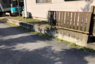 IMG_3172 IMG_3172