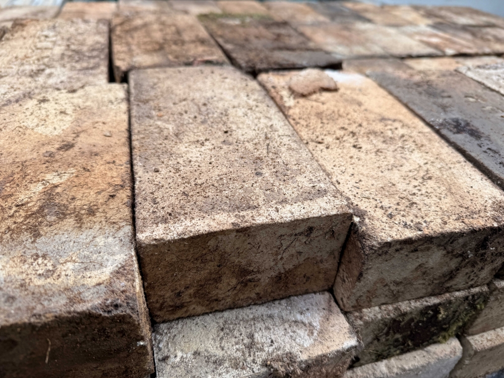 �͹��Ǥθ��ڤ��󥬡����츩���������������ƥꥢ��Ϣ����